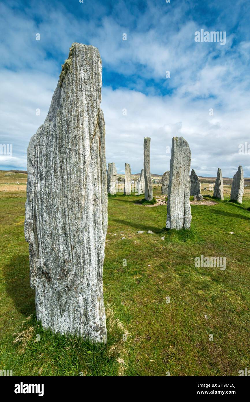 Antiche pietre calanais in piedi nel mese di maggio, Callanish, Isola di Lewis, Ebridi esterne, Scozia, REGNO UNITO Foto Stock