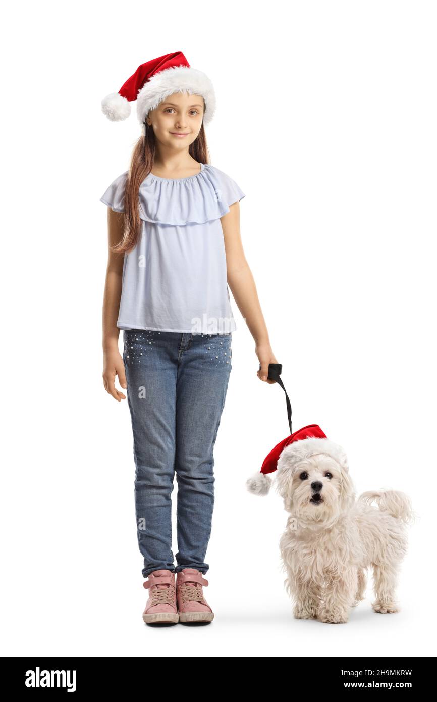 Ragazza e un cane da cuccioli indossando natale babbo natale cappelli isolati su sfondo bianco Foto Stock