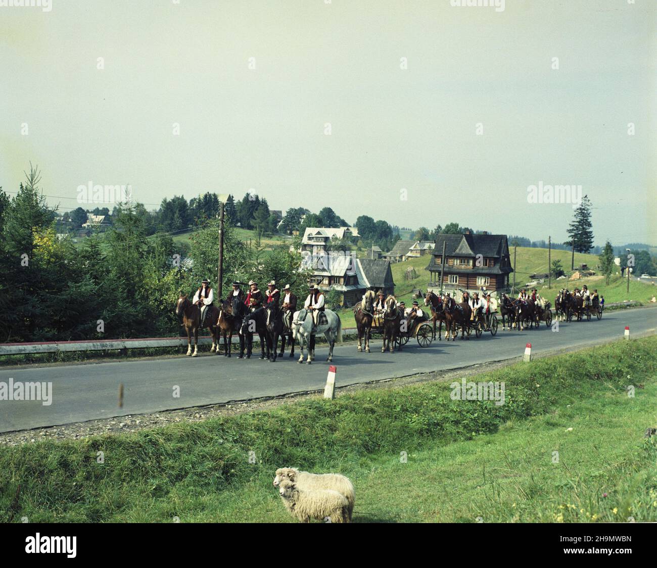 Bukowina Tatrzañska 11.1984. Wesele góralskie. NZ. Orszak weselny. ka PAP/Tadeusz ZagoŸdziñski Dok³adny dzieñ wydarzenia nieustalony. Bukowina Tatrzanska Novembre 1984. La casa della gente. Un matrimonio degli altipiani. Nella foto: Il cortege del matrimonio. ka PAP/Tadeusz Zagozdzinski Data evento sconosciuta. Foto Stock