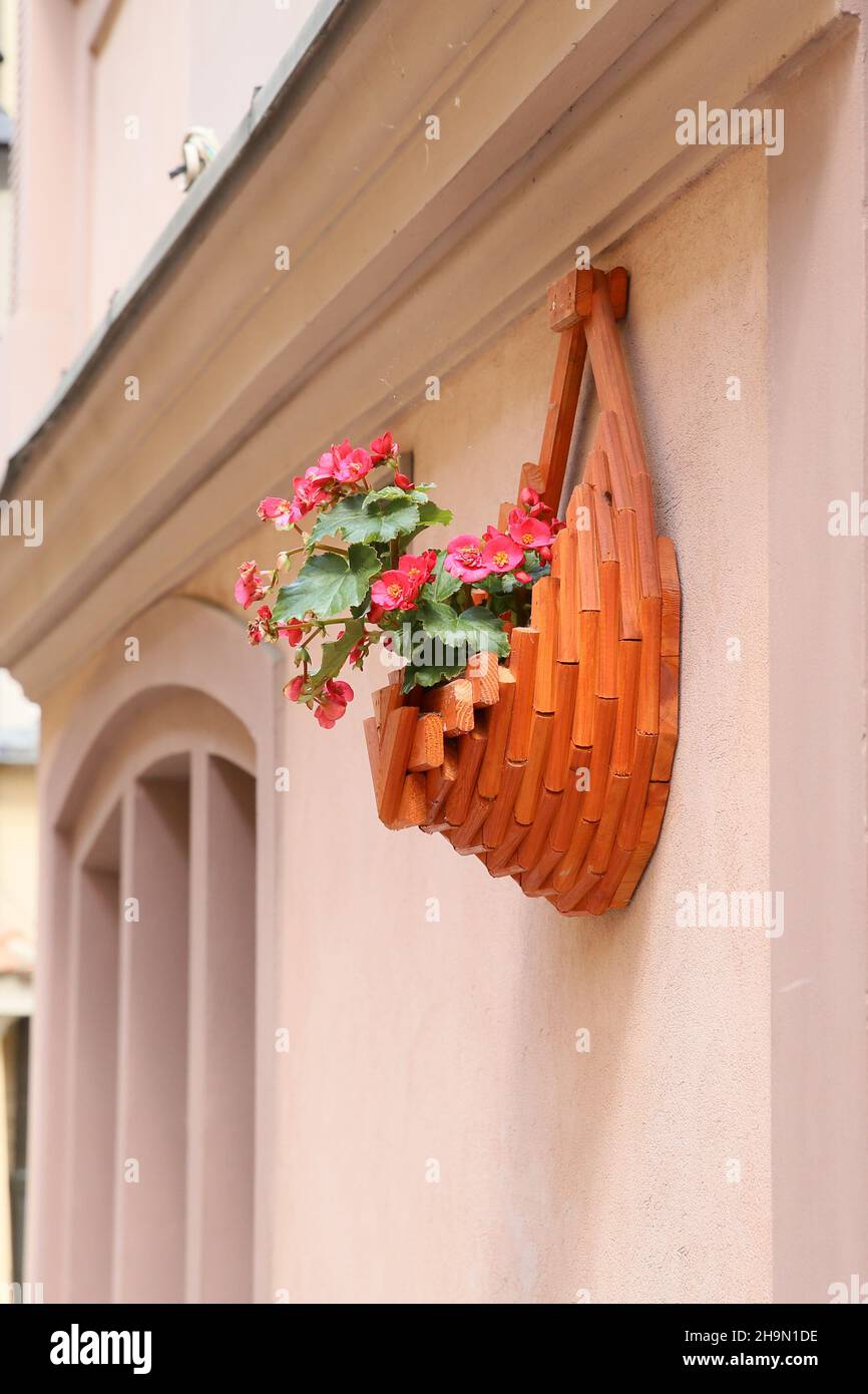 Aiuole di legno appese al muro e in esso fiori rossi Foto Stock