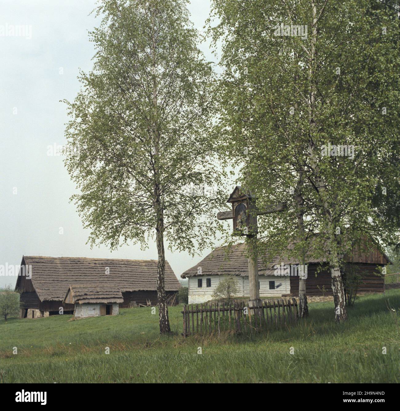 Nowy S¹cz 05,1984. S¹decki Parco Etnografia – skansen regionalny, prezentuj¹cy architekturê drewnian¹ i tradycyjn¹ kulturê ludow¹ historycznej S¹decczyzny. js PAP/Wojciech Kryñski Dok³adny dzieñ wydarzenia nieustalony. Nowy Sacz maggio 1984. Il Parco Etnografico Sadecki - il museo regionale all'aperto che presenta architettura storica tradizionale in legno. js PAP/Wojciech Krynski data esatta sconosciuta. Foto Stock