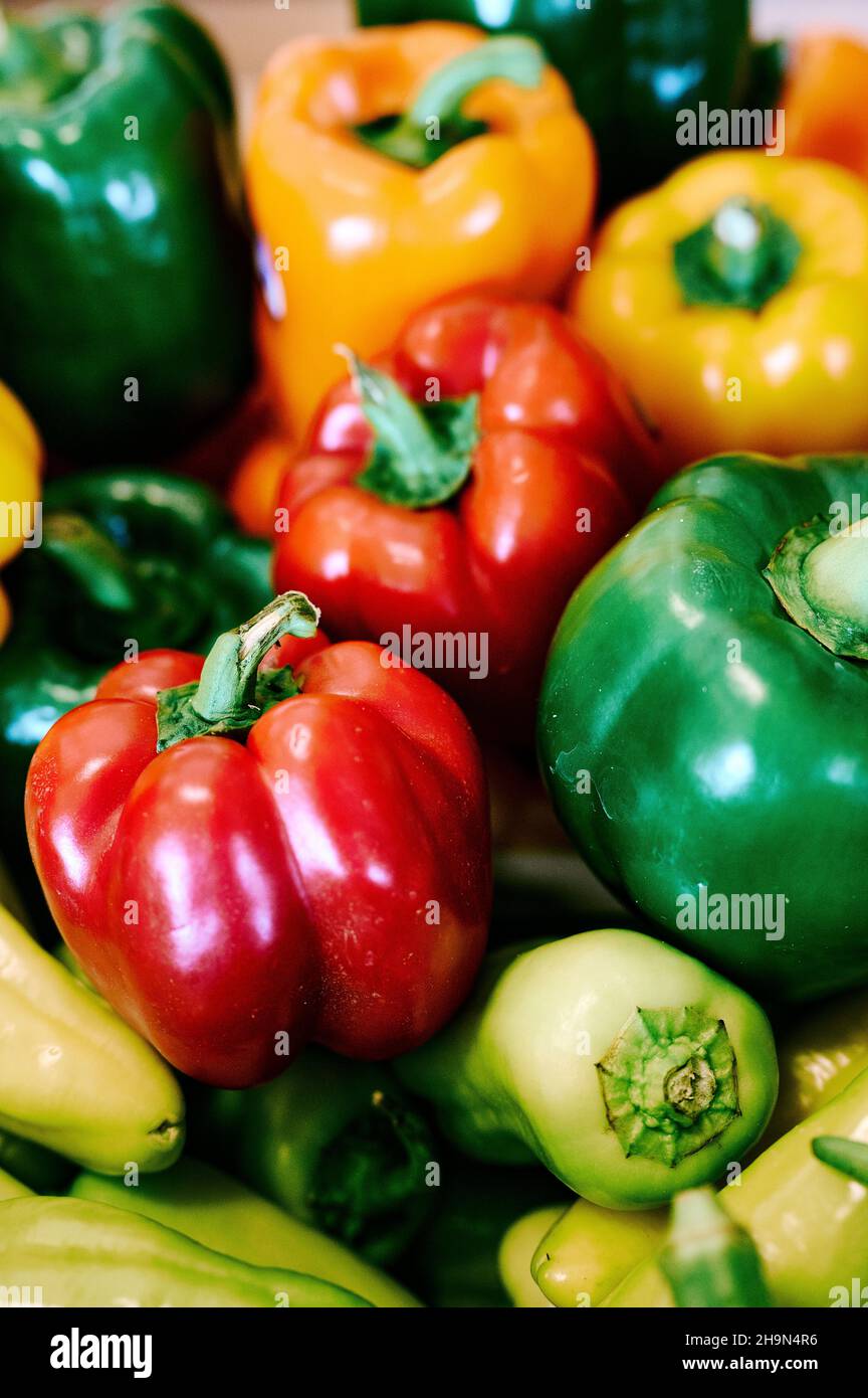 Peperoni gialli, verdi e rossi in esposizione di verdure fresche, in vendita presso un'azienda agricola o un mercato agricolo. Foto Stock