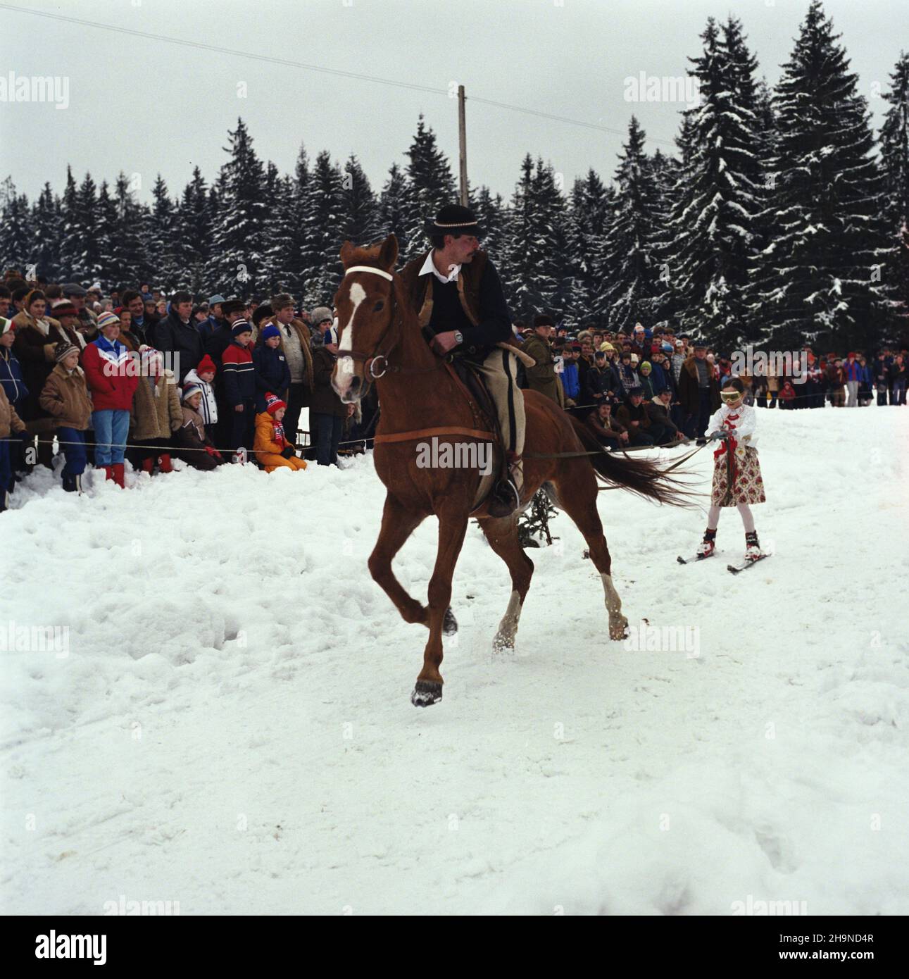Bukowina Tatrzañska 02,1984. W trakcie karnawa³u góralskiego odbywaj¹ siê zawody konno-narcskie w strojach regionalnych. js PAP/Jerzy Ochoñski Dok³adny dzieñ wydarzenia nieustalony. Bukowina Tatrzanska Febbraio 1984. Gara di equitazione in outfit regionale durante il festival degli Highlanders. js PAP/Jerzy Ochonski evento data sconosciuta. Foto Stock