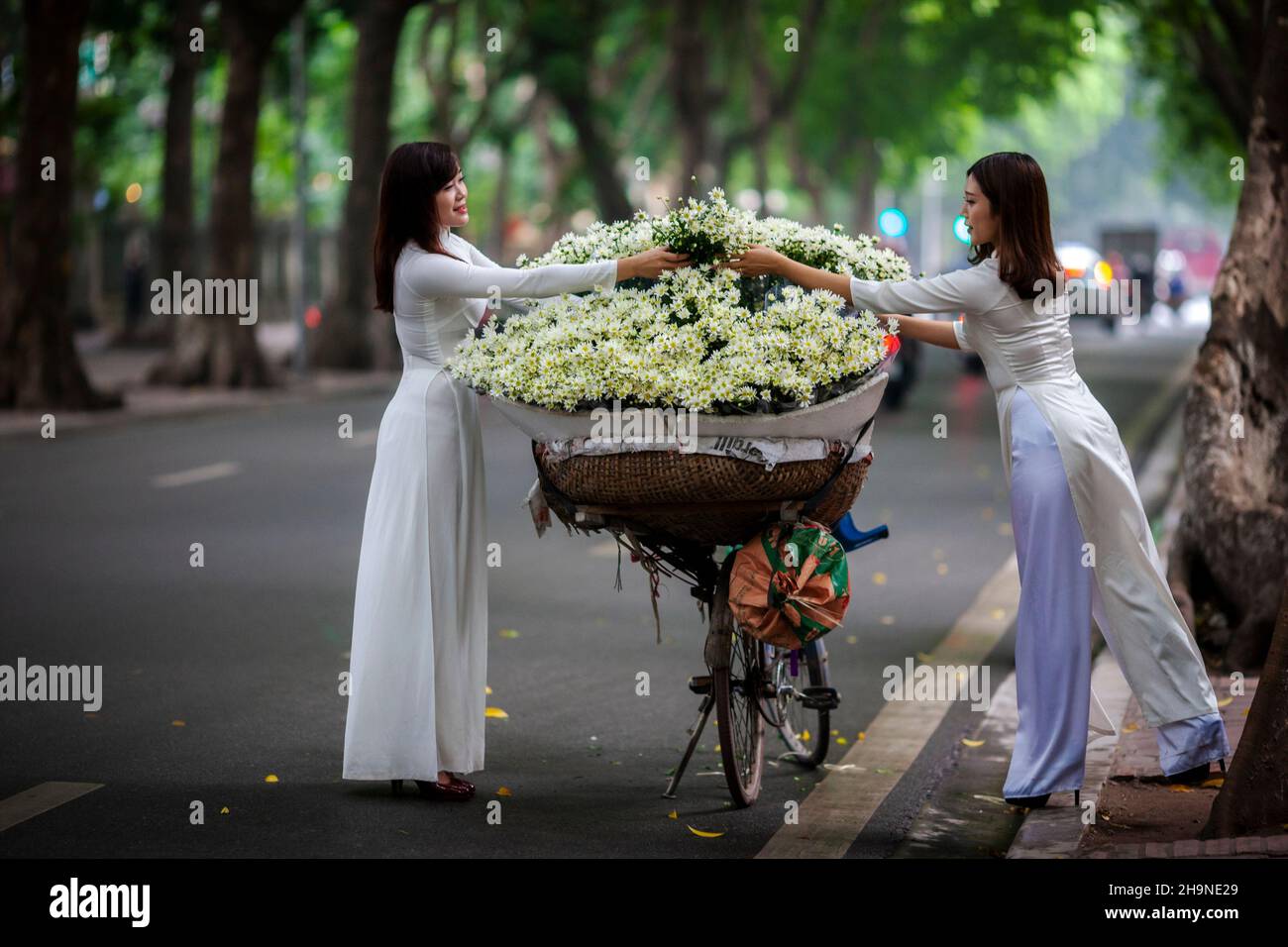Abito tradizionale vietnamita l'Ao dai è uno dei costumi indispensabili del popolo vietnamita. Ao dai onora la bellezza discreta, le curve dolci di Foto Stock