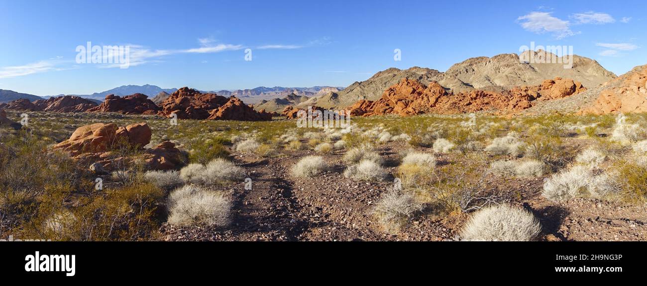 Paesaggio panoramico del deserto sul sentiero escursionistico Redstone nella zona ricreativa nazionale del lago Mead, Nevada USA Foto Stock