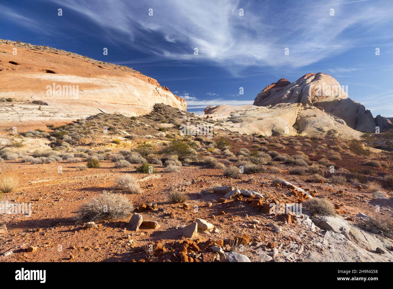 La famosa formazione di roccia del White Dome, la vista panoramica del deserto del Mojave e il Blue Sky nel Valley of Fire state Park, Nevada, sud-ovest degli Stati Uniti Foto Stock