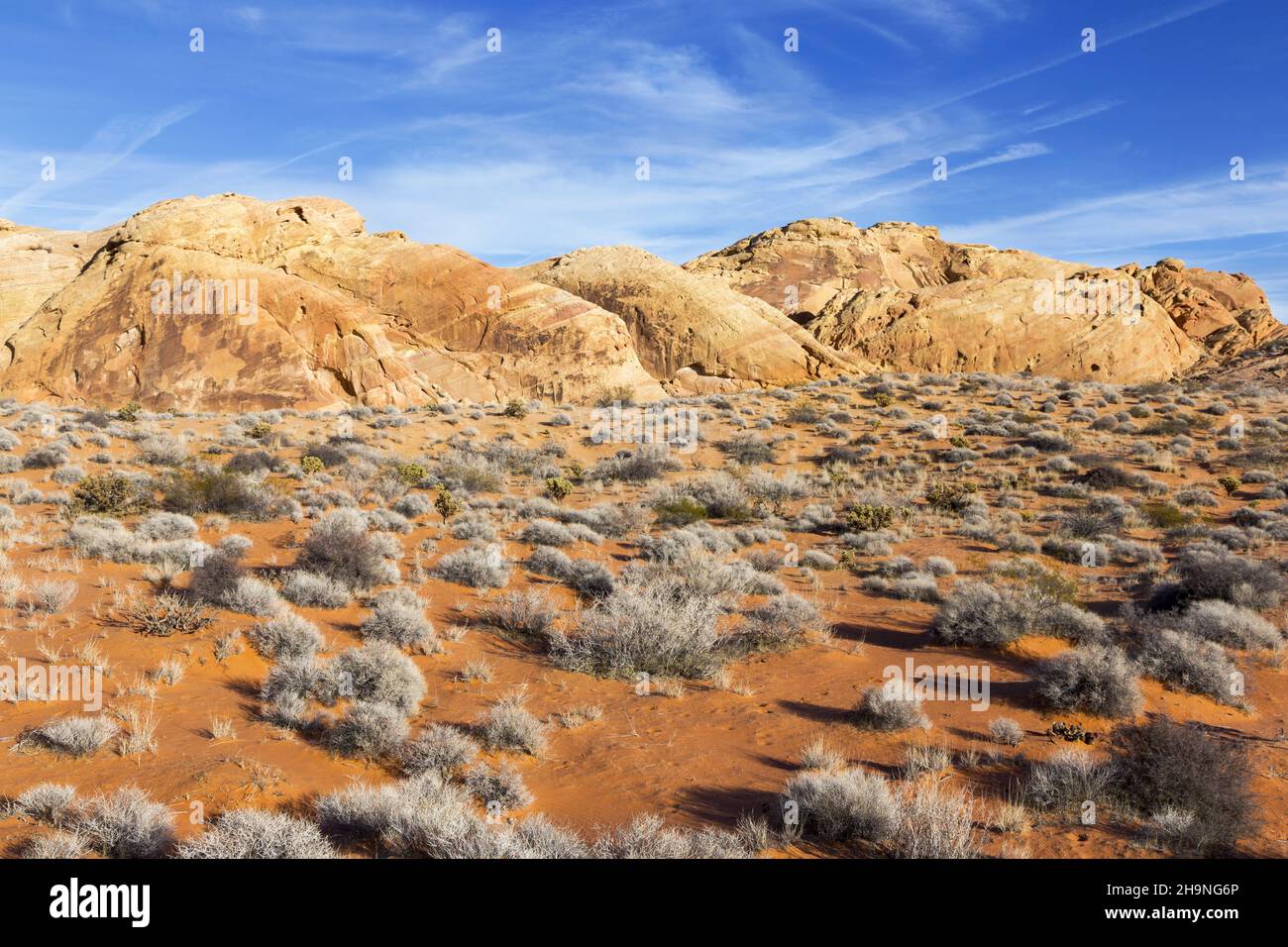 Formazioni rocciose colorate, viste panoramiche del deserto del Mojave e Blue Sky nel Valley of Fire state Park, Nevada USA Foto Stock