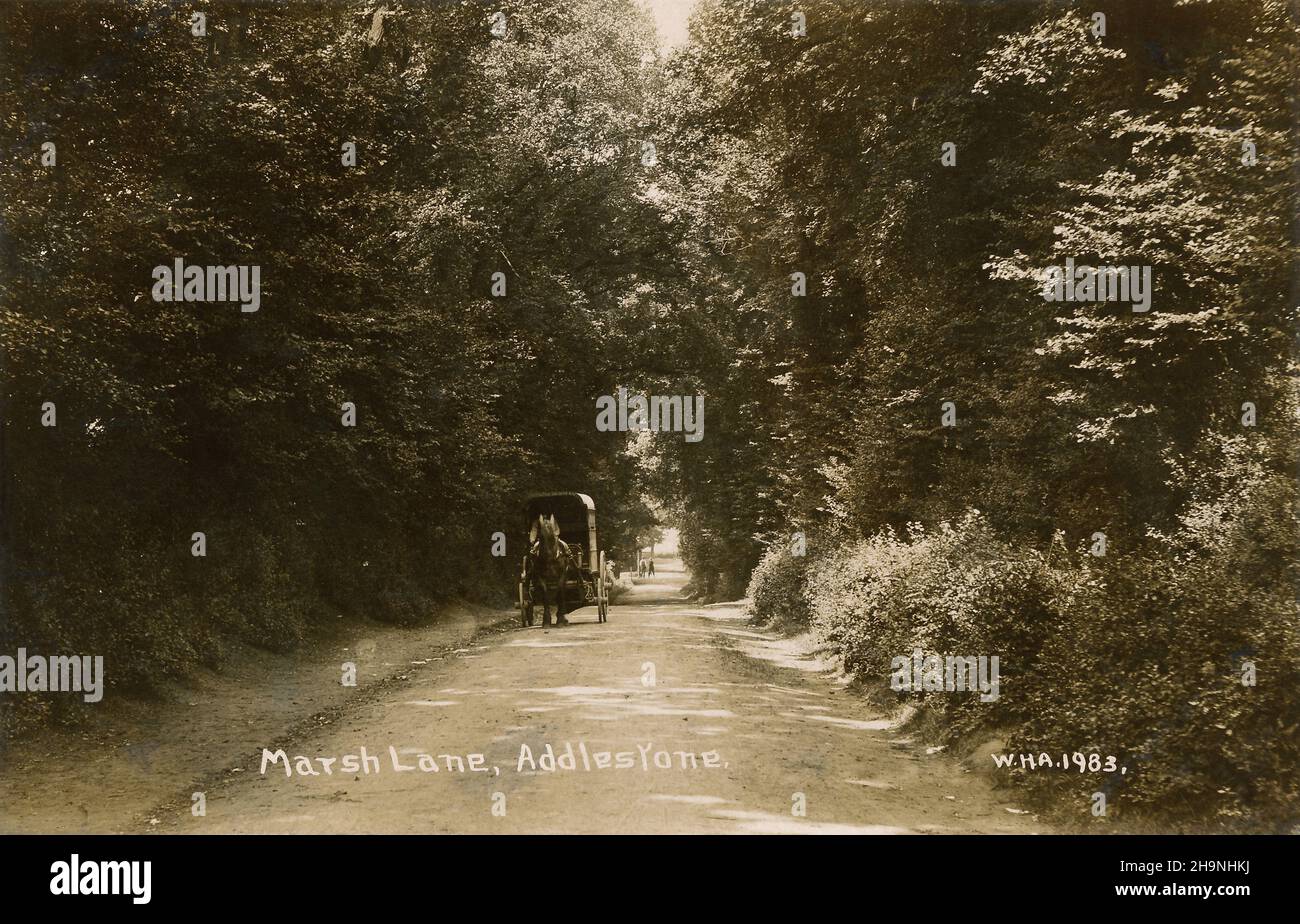 Cartolina d'epoca edoardiana di Marsh Lane ad Addlestone, Surrey, Inghilterra. Foto Stock