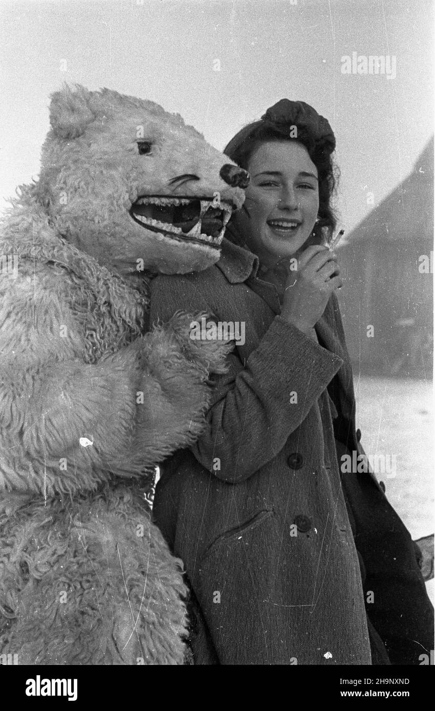 Zakopane, 1949-01. Turystka z misiem (maskotk¹, jednym z simboli Zakopanego), z którym mo¿na sobie zrobiæ zdjêcie. Kostium misia wykonany jest z naturalnej owczej skóry. wb PAP Dok³aDny dzieñ wydarzenia nieustalony. Zakopane, 1949 gennaio. Un turista con un orso (il fascino fortunato di Zakopane e uno dei suoi simboli) per scattare foto. Il vestito Bear è realizzato in pelle di pecora naturale. wb PAP Foto Stock