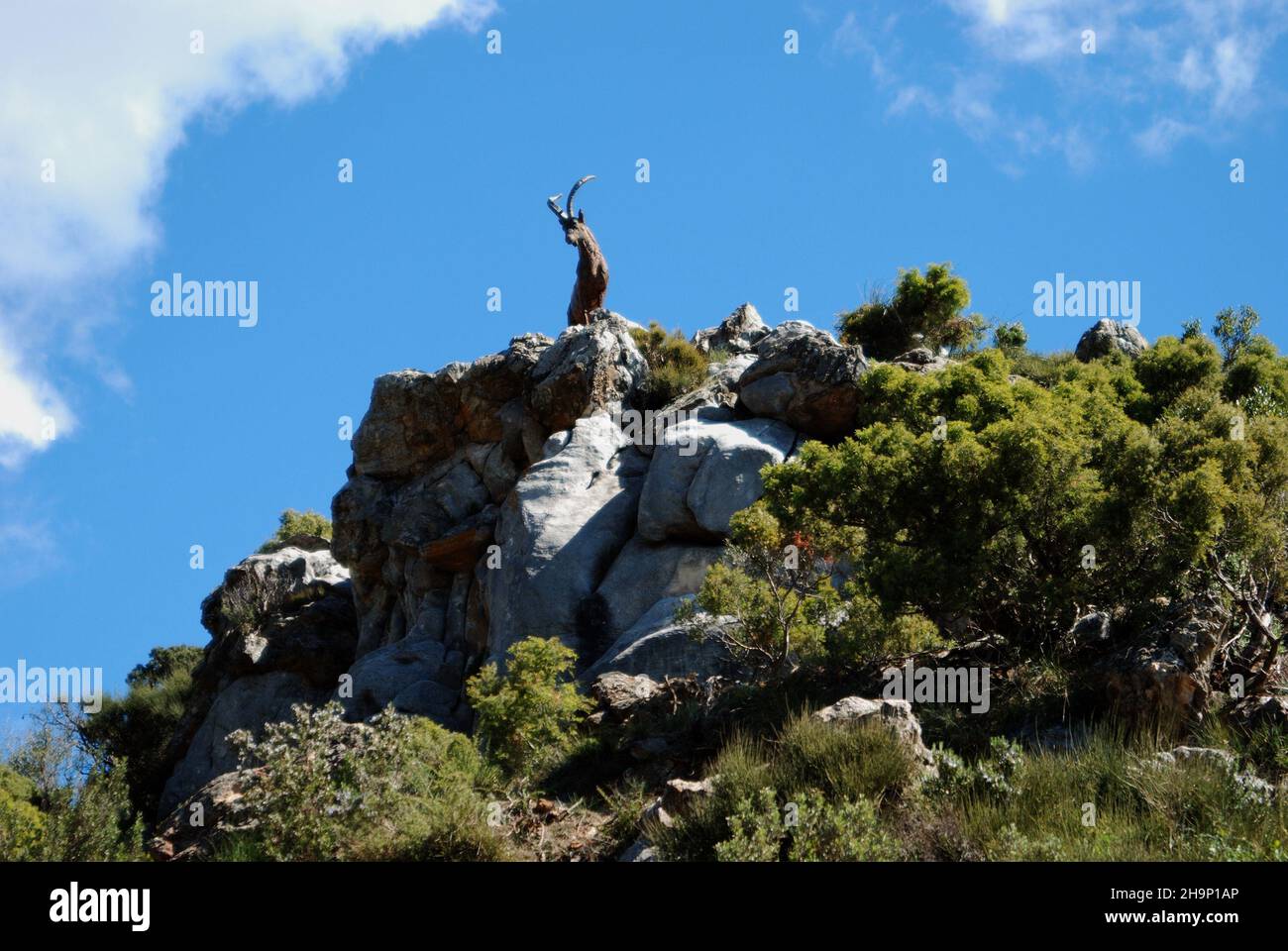 Statua di capra sulla cima di una montagna, Refugio de Juanar, vicino Marbella, Costa del Sol, Provincia di Malaga, Andalucia, Spagna, Europa occidentale. Foto Stock