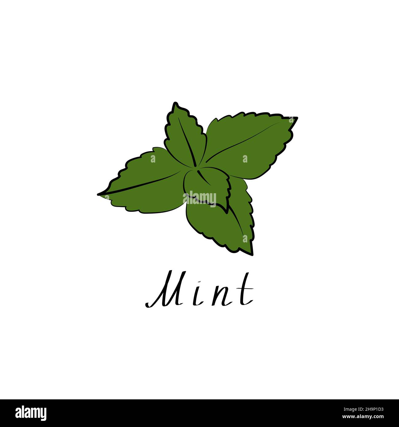 Logo Mint. Segno dell'erba vettoriale. Simbolo vegetariano. Illustrazione piatta. Illustrazione Vettoriale