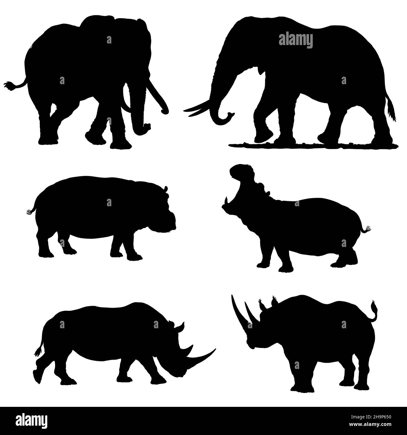 Set con animali africani. Silhouette di elefante, rinoceronte e ippopotamo. Illustrazione digitale. Foto Stock