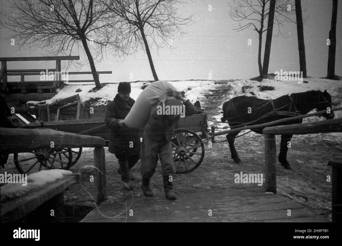 Gorzków ko³o Krasegalstawu, 1949-02. M³yn wodny. Roz³adunek worków ze zbo¿em przywiezionych do m³yna. msa PAP Dok³adny dzieñ wydarzenia nieustalony. Gorzkow vicino a Krasnystaw, 1949 febbraio. Un mulino ad acqua. Scarico sacchi di grano portato al mulino msa PAP Foto Stock