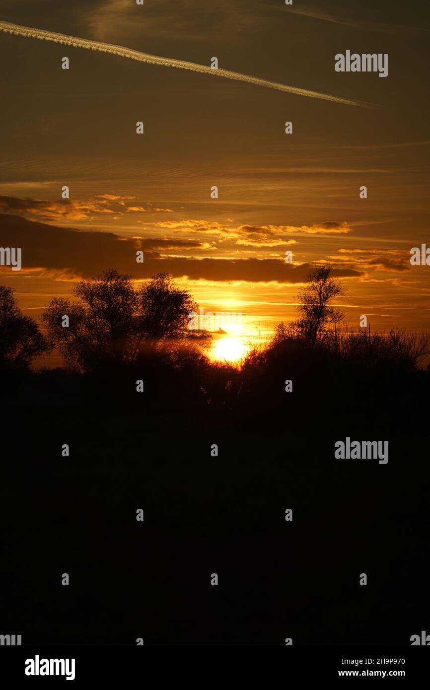 Tramonto con cielo acceso dietro gli alberi. Colori caldi e forti Foto Stock