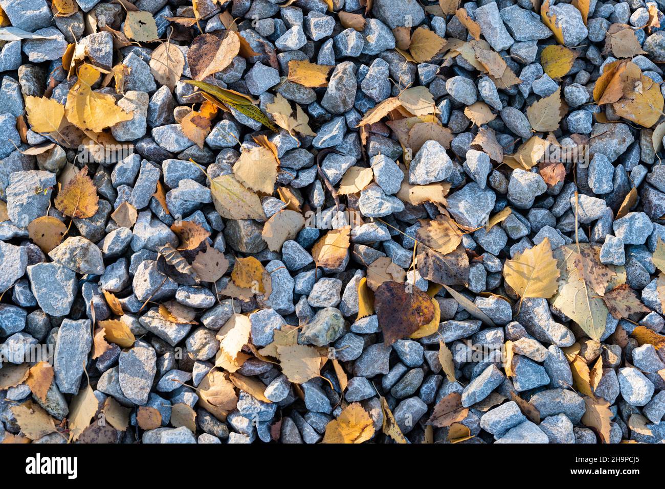 Tessuto di pietra schiacciata con foglie di autunno gialle cadute. Macerie. Foto Stock