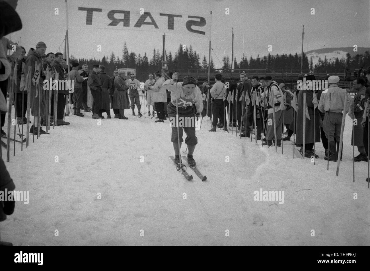 Zakopane, 1949-02-24. Od 23 lutego do 3 marca odbywa³y siê Miêdzynarodowe Zawody Narciarskie o Puchar Tatr. Zgromadzi³y uno kilkudziesiêciu sportowców z polski, Bu³garii, Czechos³owacji, Finlandii, Rumunii i Wêgier. Pierwszego dnia zawodów odby³ siê bieg mê¿czyzn na 18 kilometrów, zaliczany do kombinacji norweskiej. Zwyciê¿y³ Jaroslav Cardal z Czechos³owacji. NZ. Slavomir Jenka z Czechos³owacji na starcie biegu na stadionie Pod Krokwi¹. W g³êbi, z numerem 79, Peter Nikolov z Bu³garii. pw PAP Zakopane, 24 febbraio 1949. Concorso Internazionale di Sci per la Coppa dei Monti Tatra è stato Foto Stock