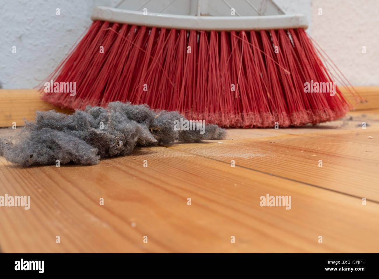 Spazzare la polvere con scopa rossa su un pavimento in legno Foto Stock