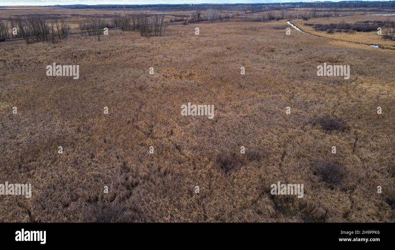 Vista autunnale dei prati rurali del Wisconsin Foto Stock