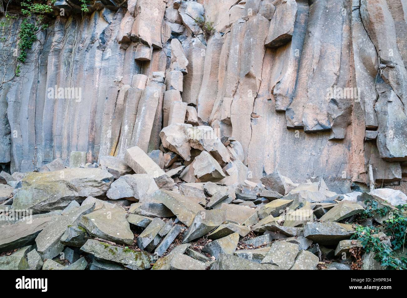 Colonne di lava verticali, flusso di lava antico, colonna di basalto, forma esagonale, Sant Joan les Fonts, Garottxa, Catalogna, Spagna Foto Stock