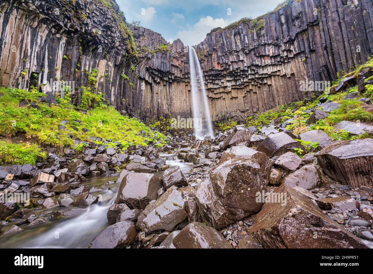 Cascata di Svartifoss, dettaglio della parte superiore della cascata più bella dell'Islanda meridionale Foto Stock