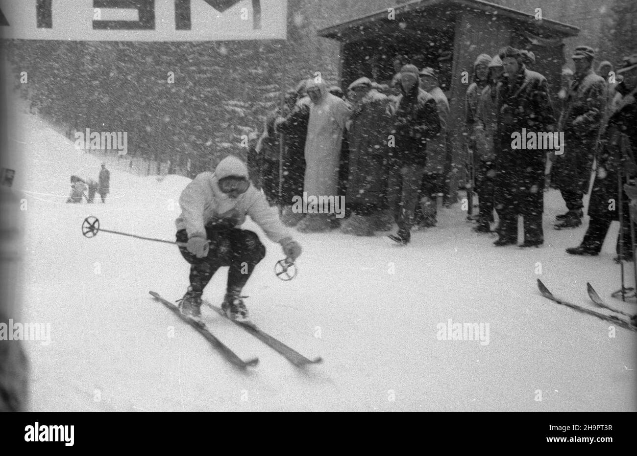 Zakopane, 1949-03-02. W Miêdzynarodowych Zawodach Narciarskich o Puchar Tatr wziê³o udzia³ przesz³o 250 zawodników i zawodniczek reprezentuj¹cych szeœæ pañstw: Czechos³owacjê, Wêgry, Rumuniê Bu³gariê, Finlandiê i Polskê. Konkurencje alpejskie by³y utrudnione przez nag³e pogorszenie pogody, czêœæ konkurencji zosta³a powtórzona. uu PAP Zakopane, 2 marzo 1949. Il concorso internazionale di sci della Coppa Tatra ha riunito oltre 250 concorrenti provenienti da 6 paesi: Cecoslovacchia, Ungheria, Romania, Bulgaria, Finlandia e Polonia. L'improvviso deterioramento del tempo ha ostacolato gli eventi alpini, som Foto Stock