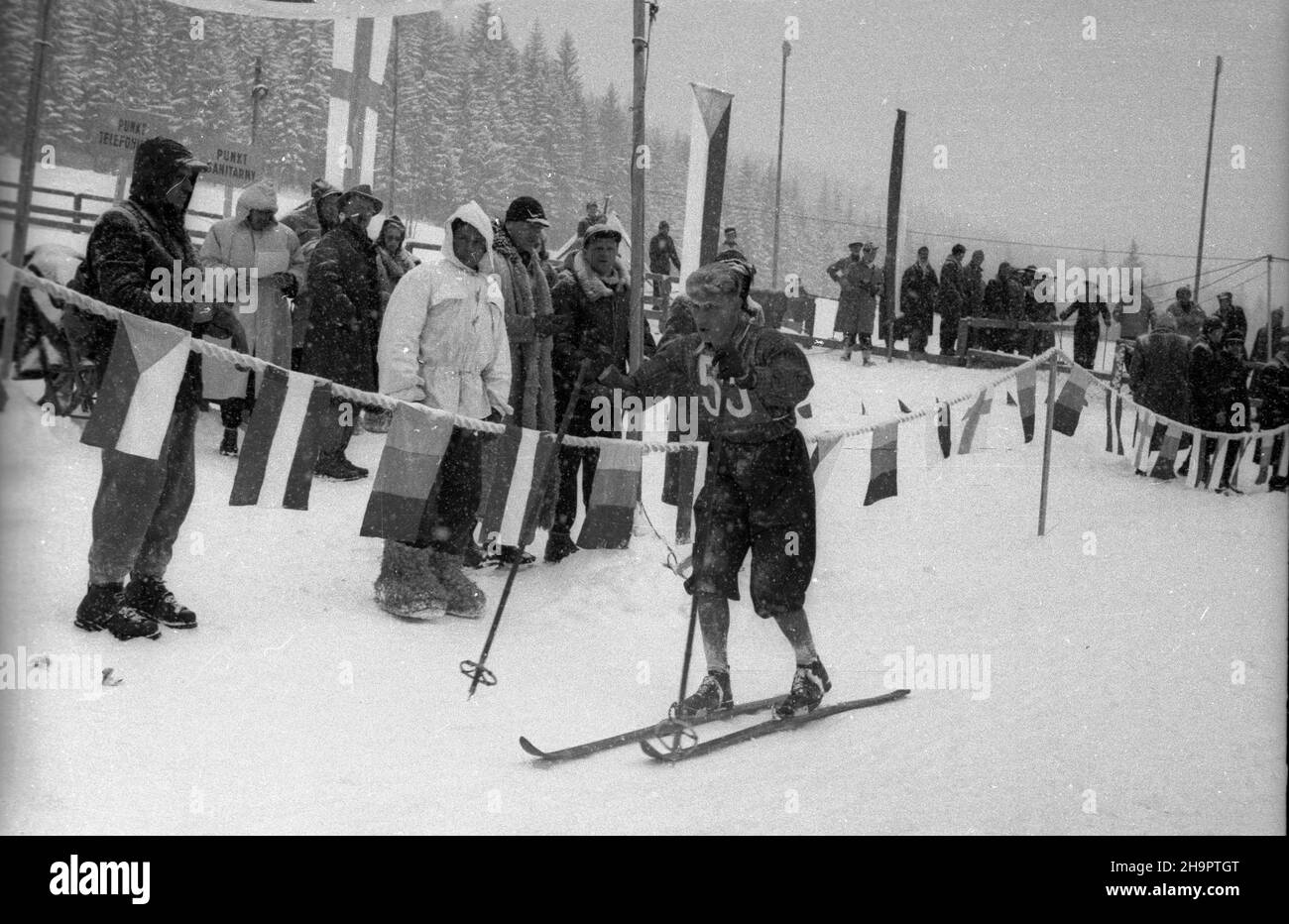 Zakopane, 1949-03-03. Miêdzynarodowe Zawody Narciarskie o Puchar Tatr (23 II-3 III). NZ. Zawodnik na trasie biegu na 30 kilometrów. ka PAP Zakopane, 3 marzo 1949. Il Tournement sciistico Internazionale per la Coppa dei Monti Tatra (23 febbraio - 3 marzo). Nella foto: Uno sciatore sulla strada di fondo di 30 km. ka PAP Foto Stock