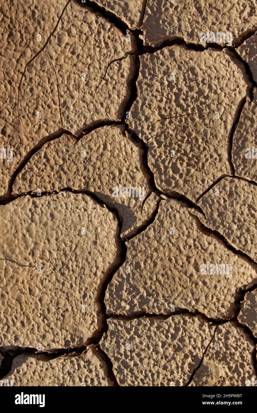 Suolo parched, suolo arabile, siccità, secchezza, suolo di creta, Crepe nel suolo, Almeria, Andalusia, Spagna Foto Stock