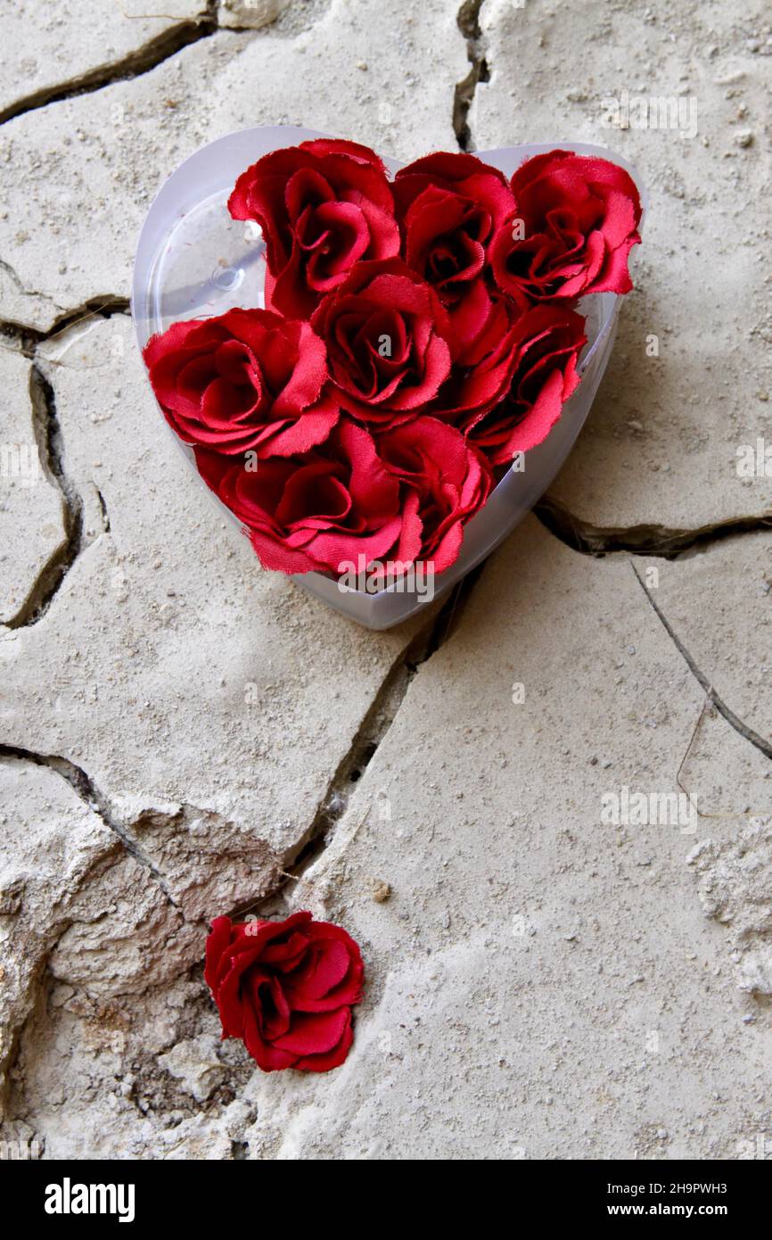 Scatola di plastica a forma di cuore con rose artificiali su terreno argilloso secco, afflizione simbolica di amore, simbolismo che truffa, surrealistico motivo fotografico, surreale Foto Stock
