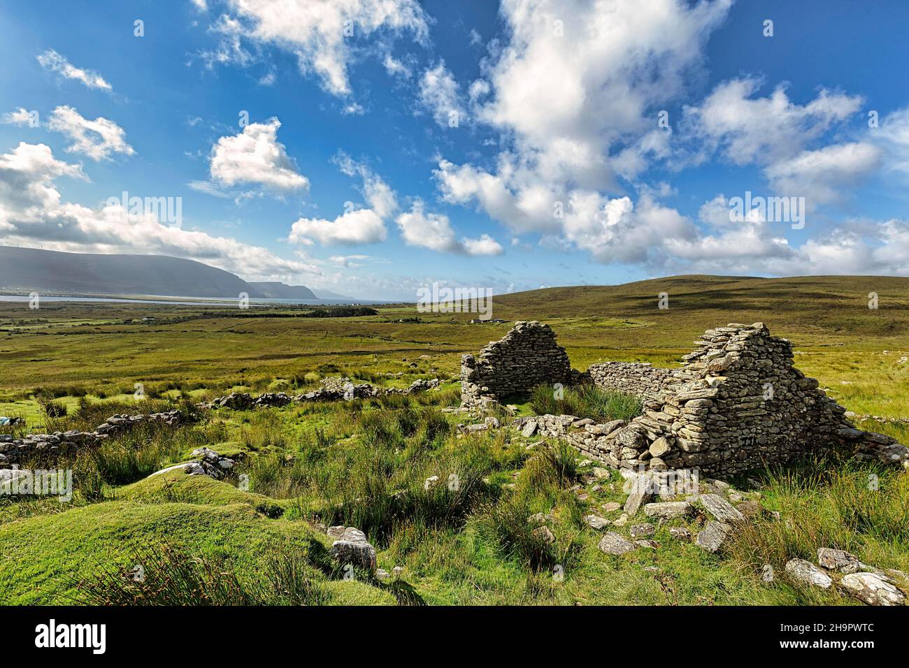 Rovina di una casa in pietra, Cottage in un prato, villaggio abbandonato vicino Slievemore, Acaill, Achill Island, Mayo, Irlanda Foto Stock