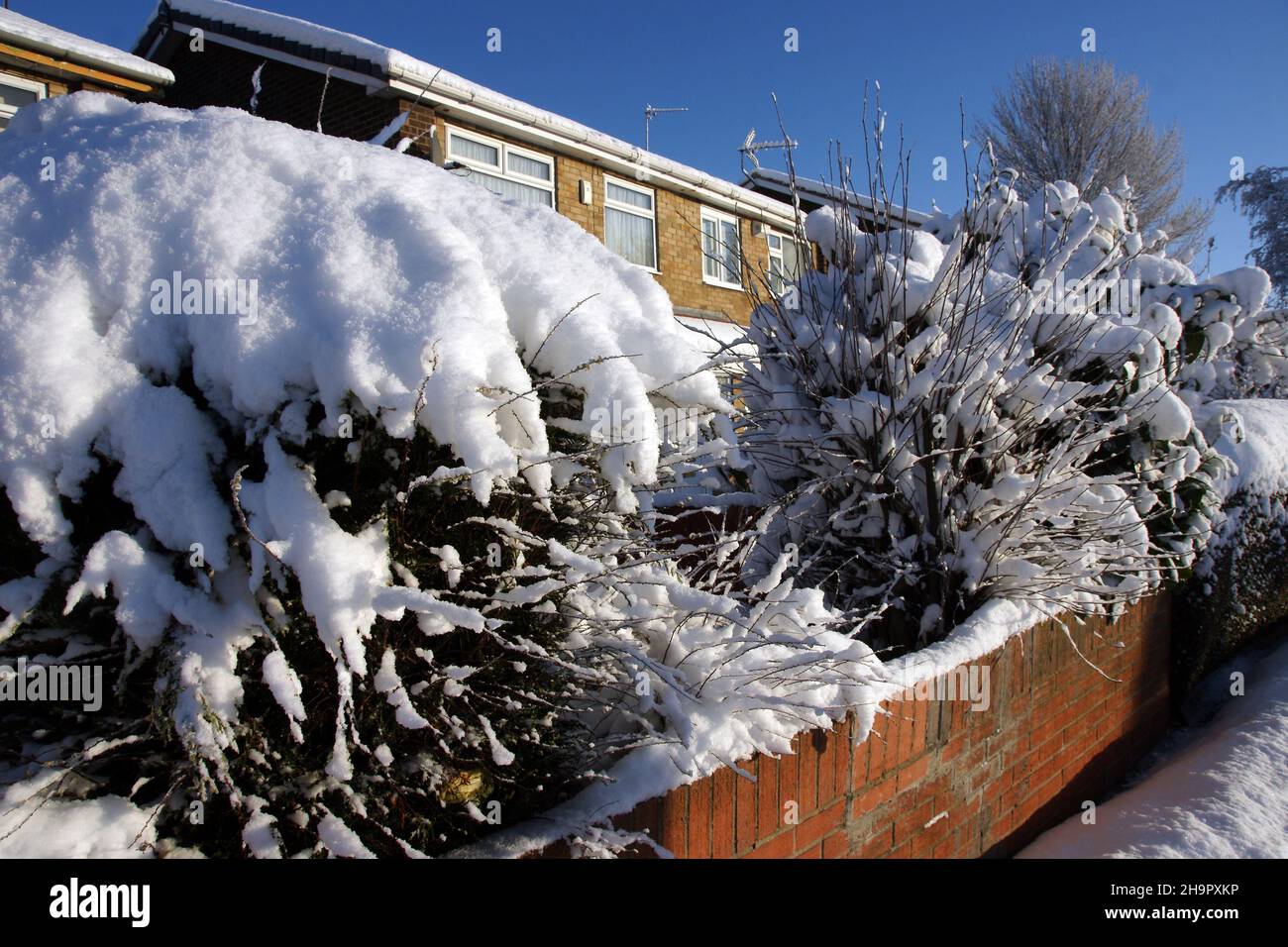 giardini pieni di neve Foto Stock