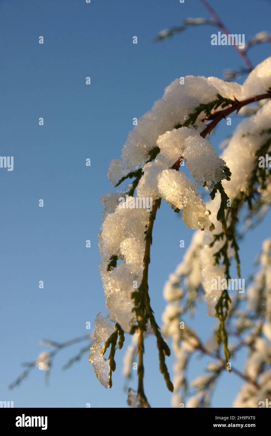 neve e ghiaccio paesaggio meteorologico estremo Foto Stock