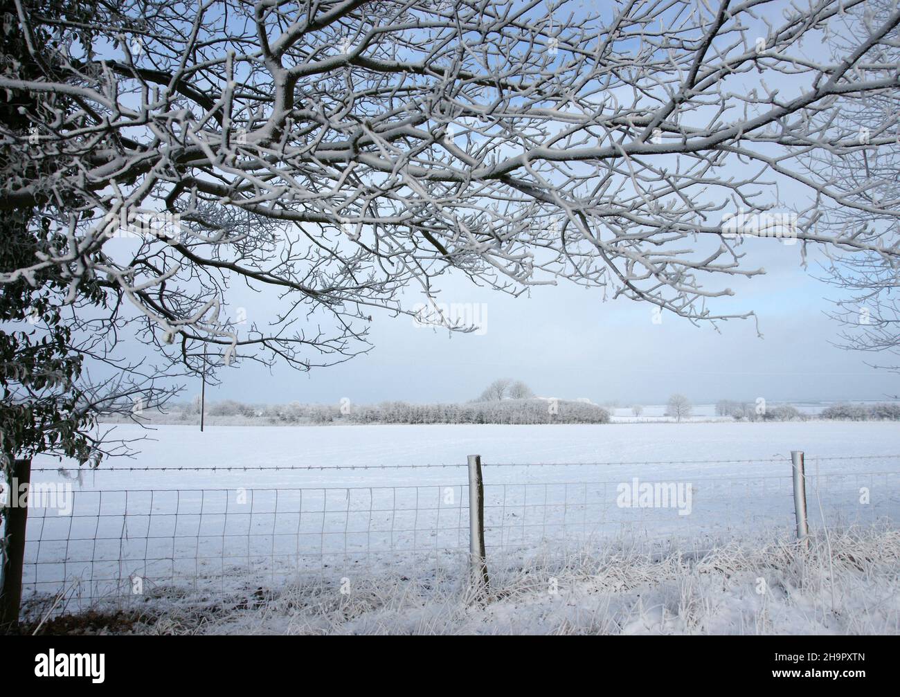 neve e ghiaccio paesaggio meteorologico estremo Foto Stock