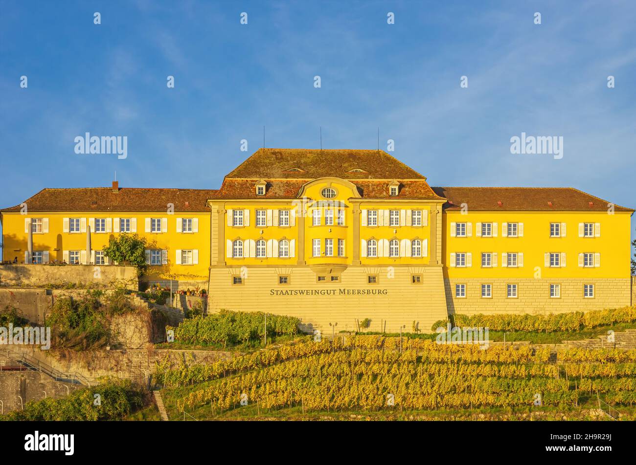 Azienda vinicola degli Stati Uniti Meersburg al lago di Costanza, Baden-Württemberg, Germania. Foto Stock