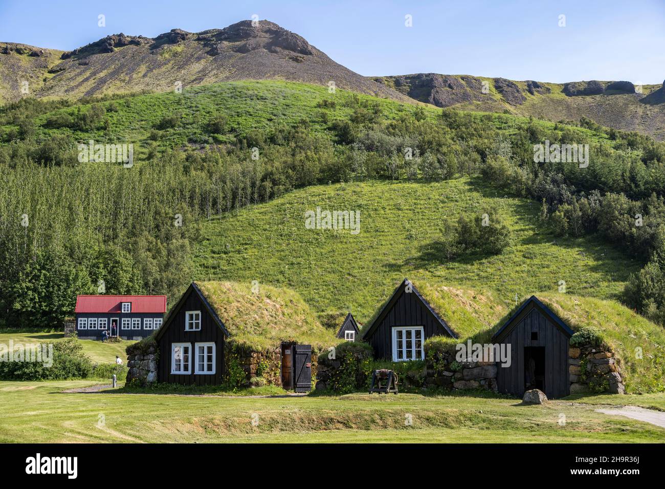 Casa tradizionale, case di torba con erba sul tetto, Museo Skogar, Skogar, Islanda Foto Stock