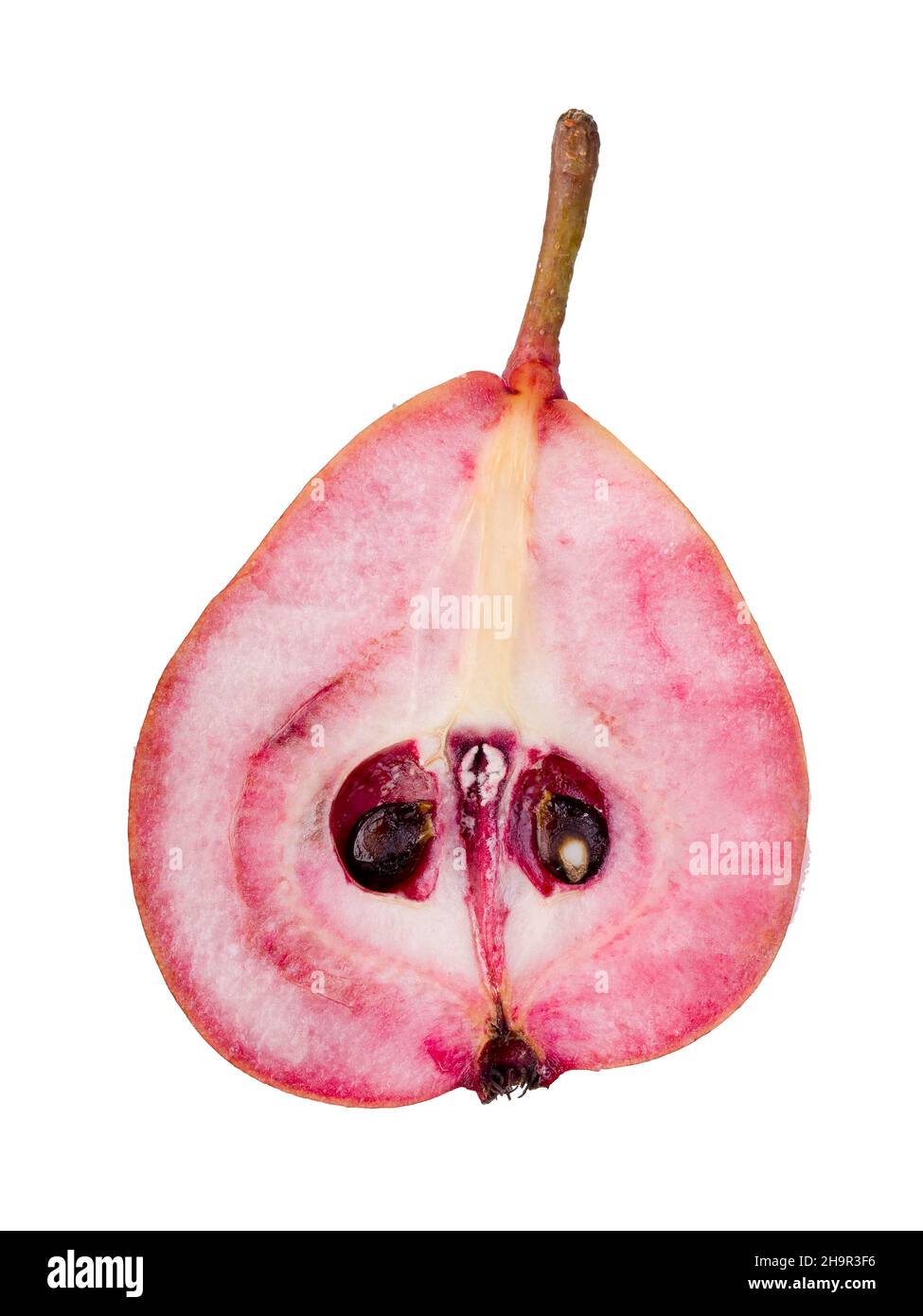 Pera varietà Westphalian sangue Pear, dimezzato, ritaglio Foto Stock