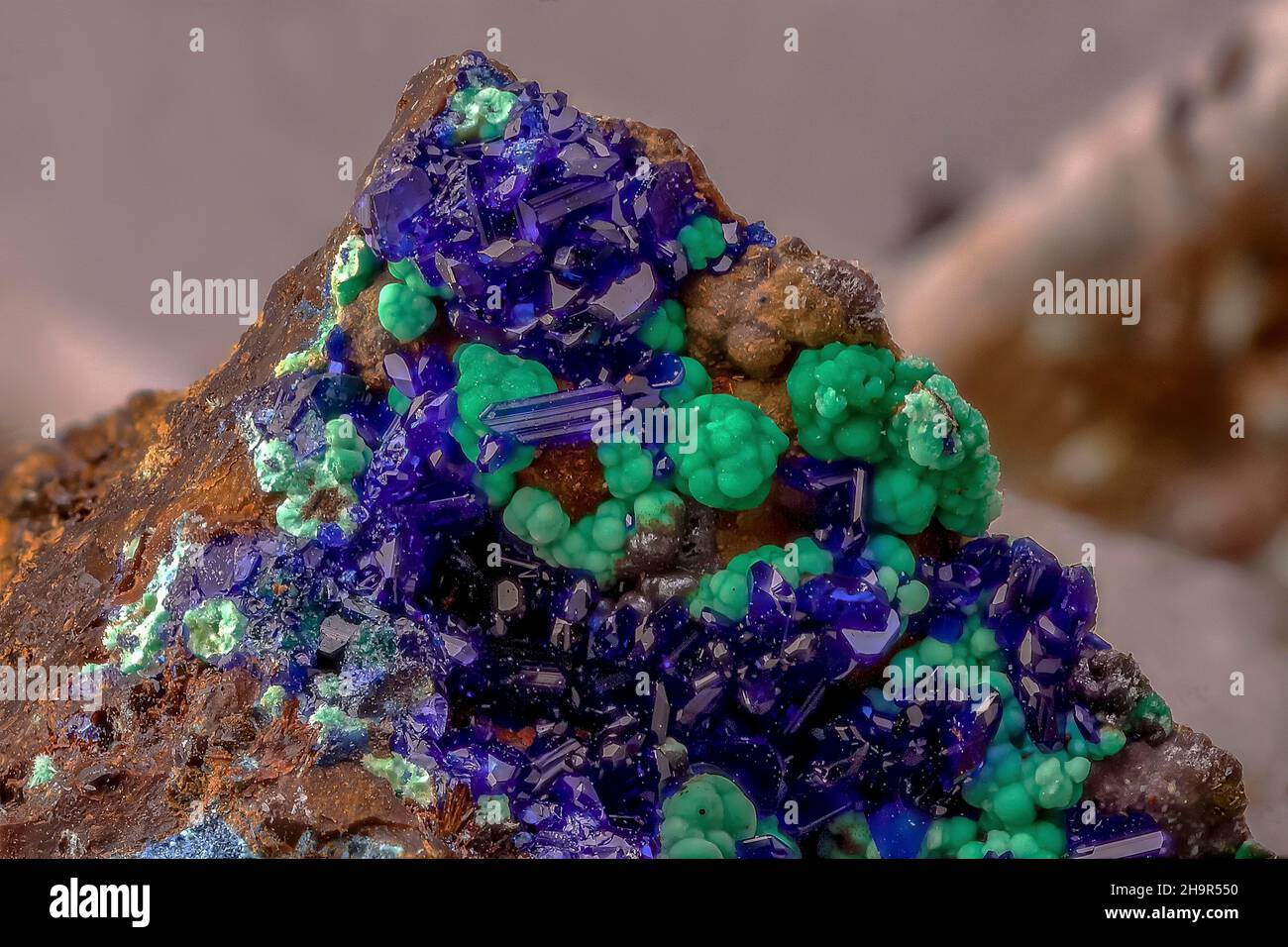 Azurite malachite Micromotate, immagine macro, ingrandimento ABM 10:1, Assia, Germania Foto Stock