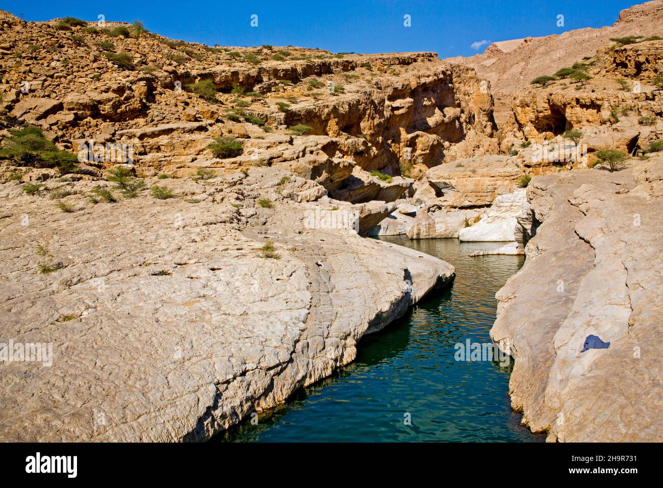 Piscina d'acqua, paradiso Wadi Bani Khalid, Wadi Bani Khalid, Oman Foto Stock