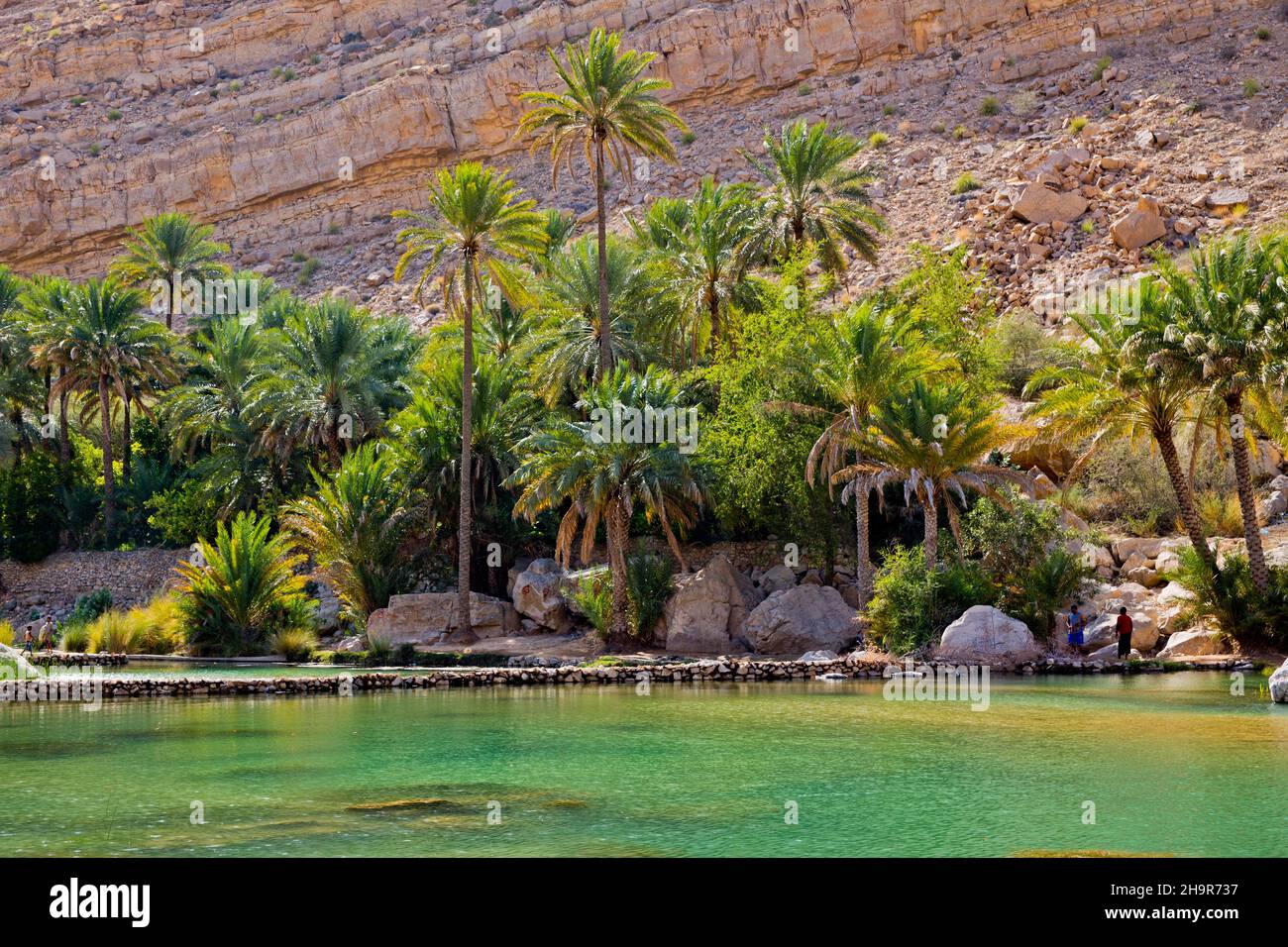 Piscina d'acqua, paradiso Wadi Bani Khalid, Wadi Bani Khalid, Oman Foto Stock