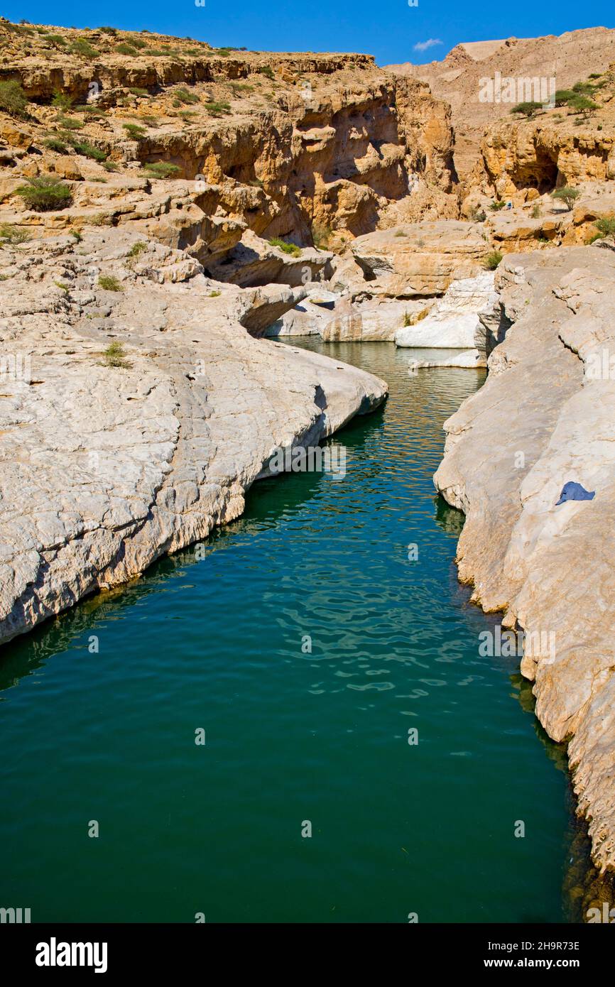 Piscina d'acqua, paradiso Wadi Bani Khalid, Wadi Bani Khalid, Oman Foto Stock
