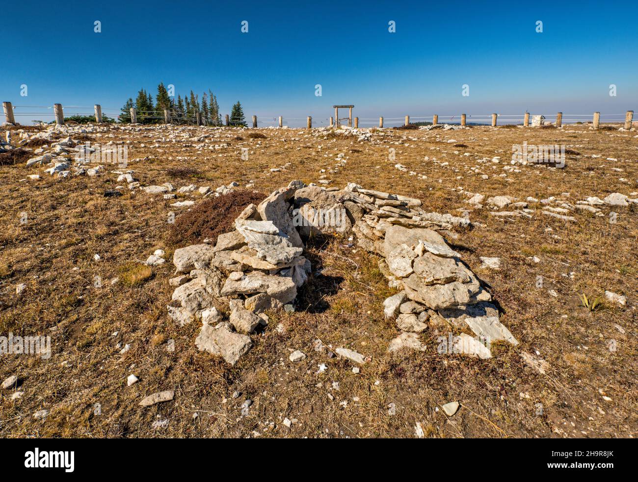 Medicine Wheel National Historic Landmark, Bighorn National Forest, Wyoming, USA Foto Stock