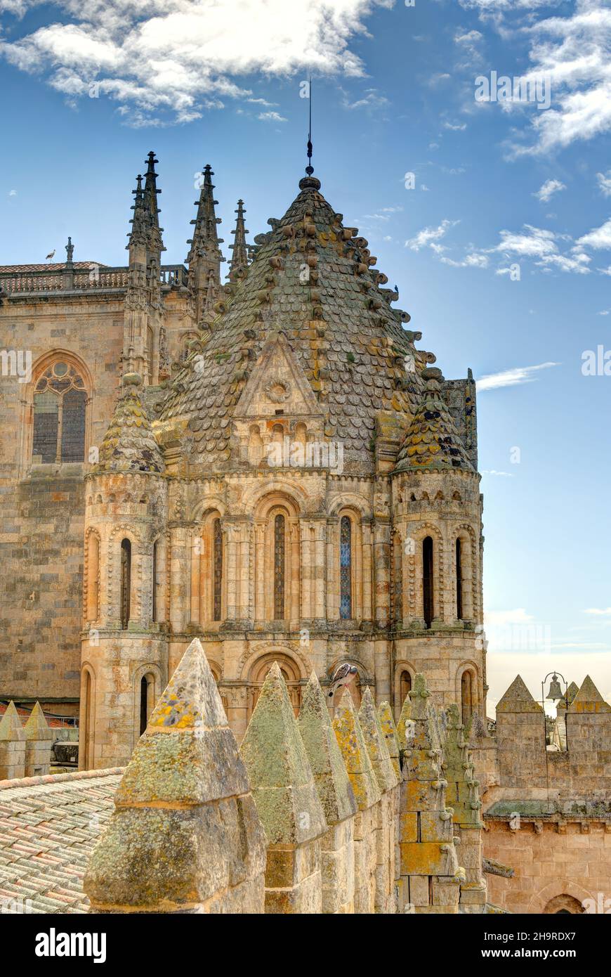 Cattedrale di Salamanca Foto Stock