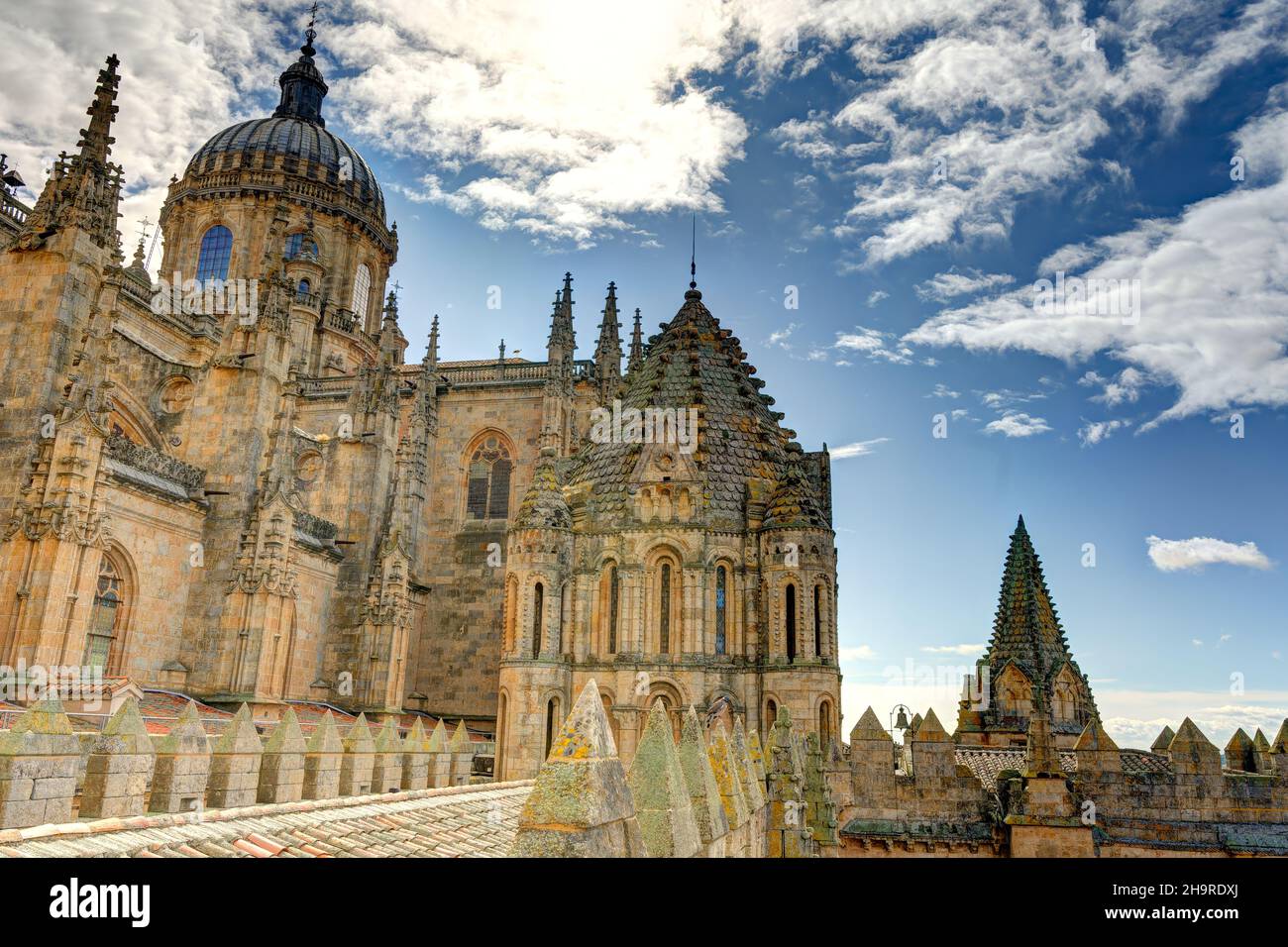 Cattedrale di Salamanca Foto Stock