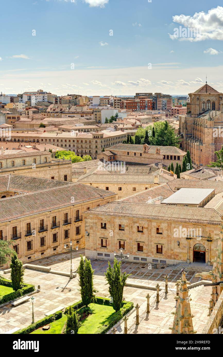 Cattedrale di Salamanca Foto Stock