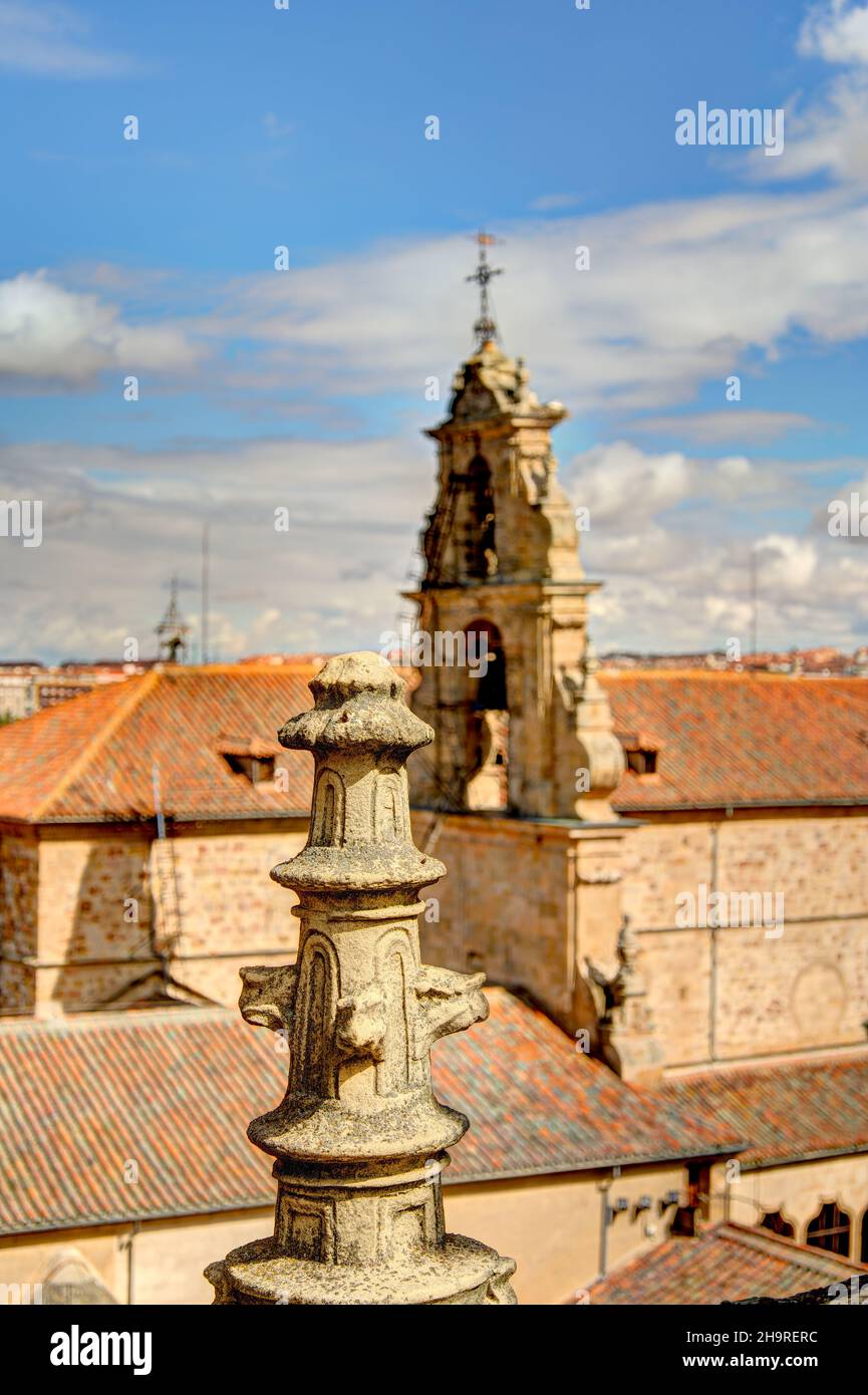 Cattedrale di Salamanca Foto Stock