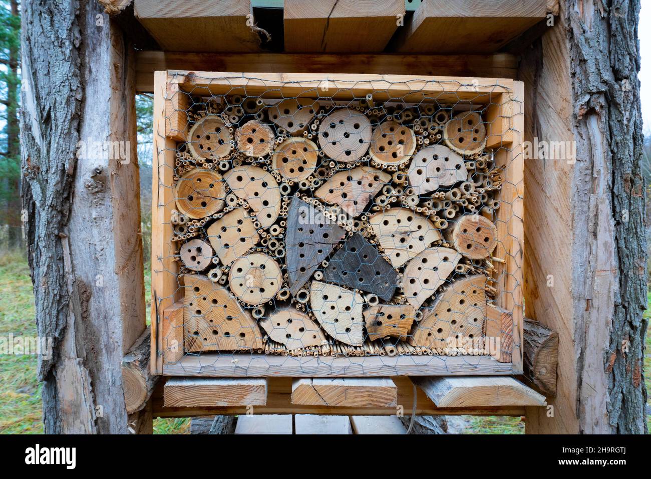Insect hotel casa nella natura libera e giardino. Casa naturale per api e insetti. Foto Stock