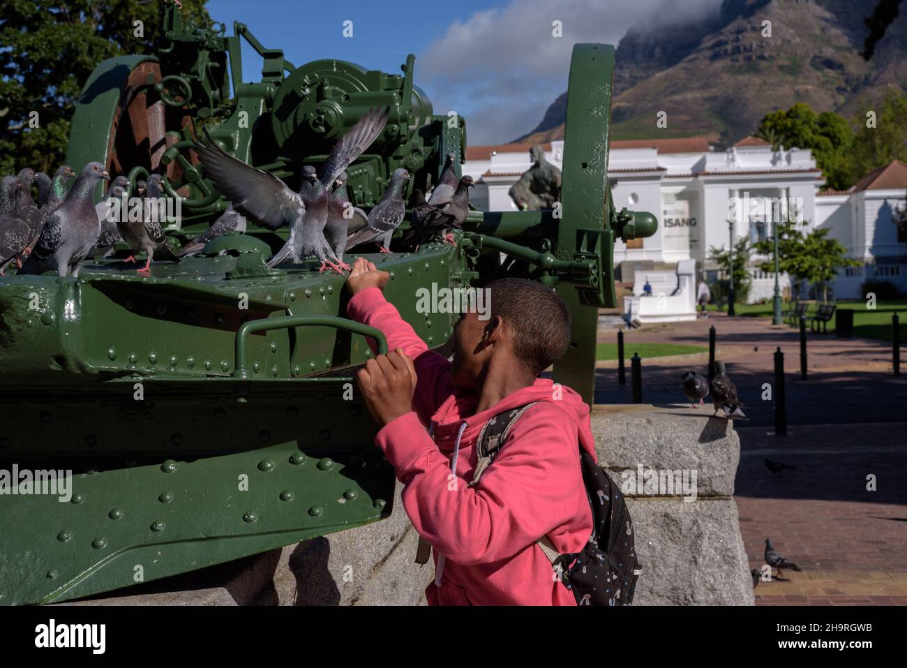 Nutrire i piccioni nel Giardino della Compagnia di Città del Capo arroccato su una pistola commemorativa di artiglieria vicino alla Galleria Nazionale del Sud Africa Foto Stock
