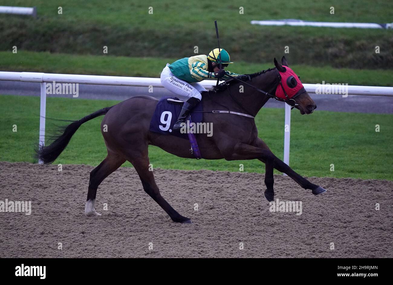 Ring of Gold indovinato dal jockey Joanna Mason sulla loro strada per vincere il MansionBet battuto da un Head handicap al Wolverhampton Racecourse. Data foto: Mercoledì 8 dicembre 2021. Foto Stock