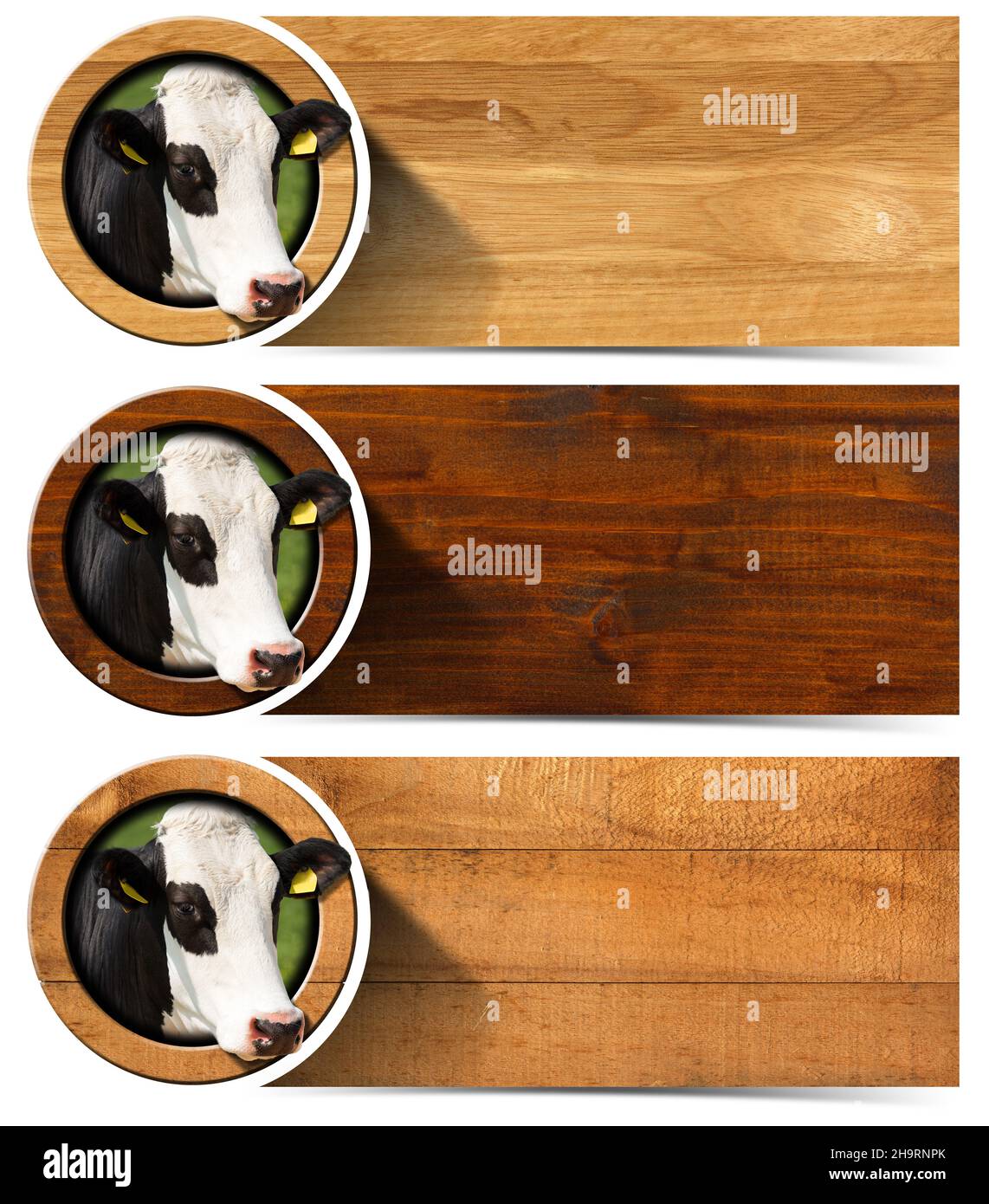 Collezione di tre striscioni orizzontali in legno con spazio per il testo, testa di vacca all'interno di un cerchio. Isolato su sfondo bianco. Foto Stock
