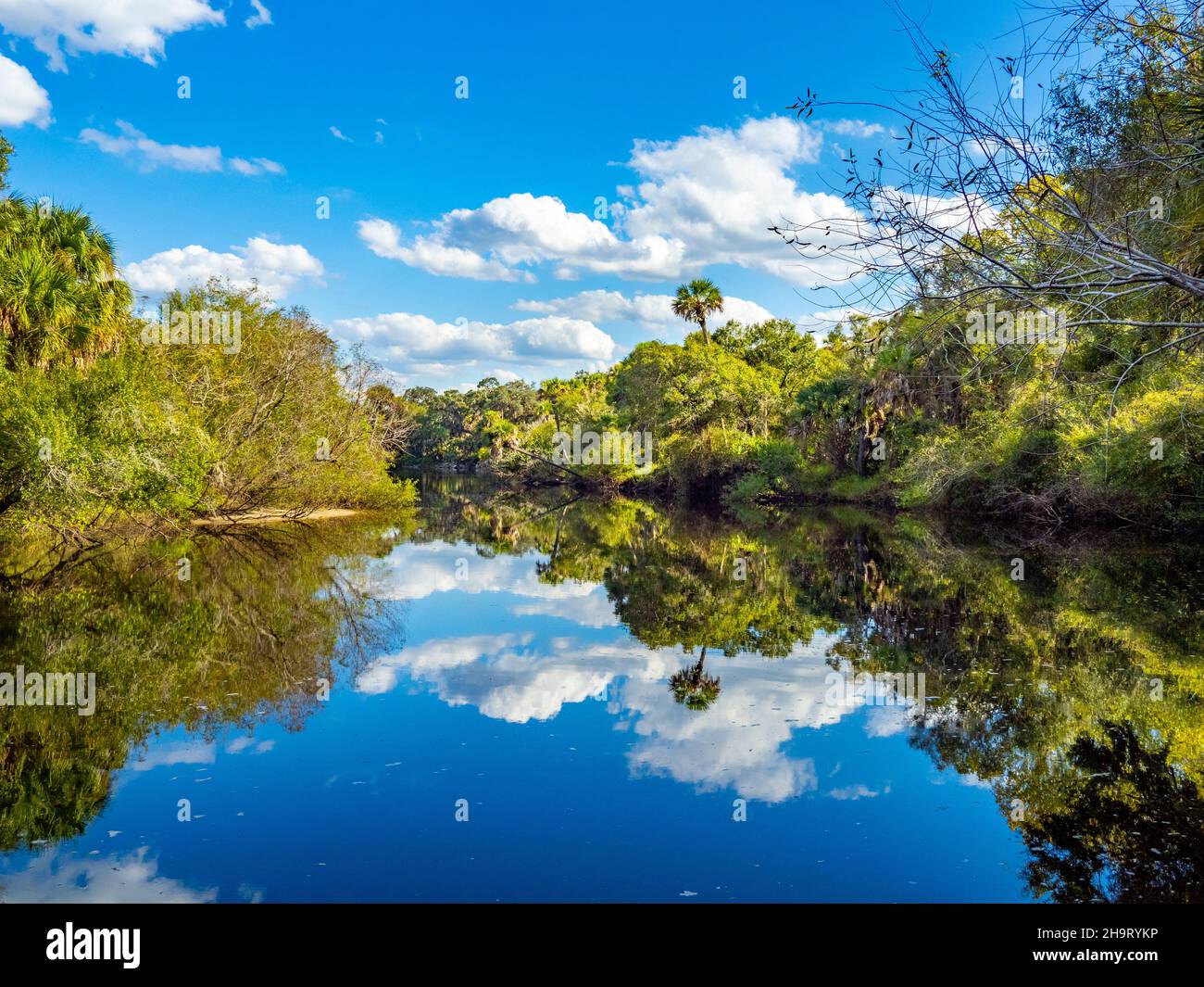 Alberi e nuvole che si riflettono nel fiume Myakka nella riserva delle tartarughe addormentate a Venezia Florida USA Foto Stock