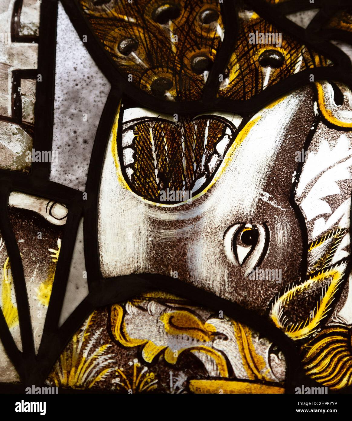 Saint Nicholas cappella, Gipping, Suffolk, Inghilterra, UK medievale vetrate di est finestra cane o cinghiale con piume di pavone Foto Stock